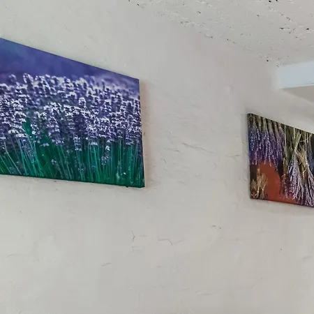 Characteristic Holiday In With Balcony